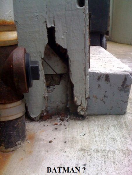 Daily picdump (148 pics)