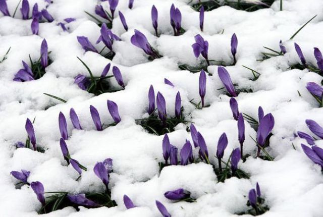 Daily picdump (148 pics)