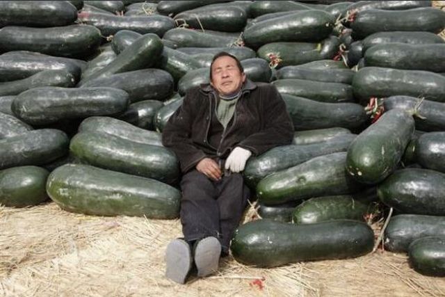 People Sleeping Everywhere (40 pics)
