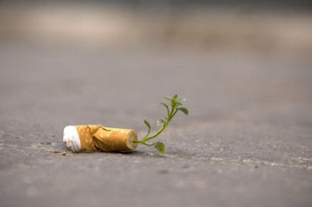 Daily picdump (127 pics)