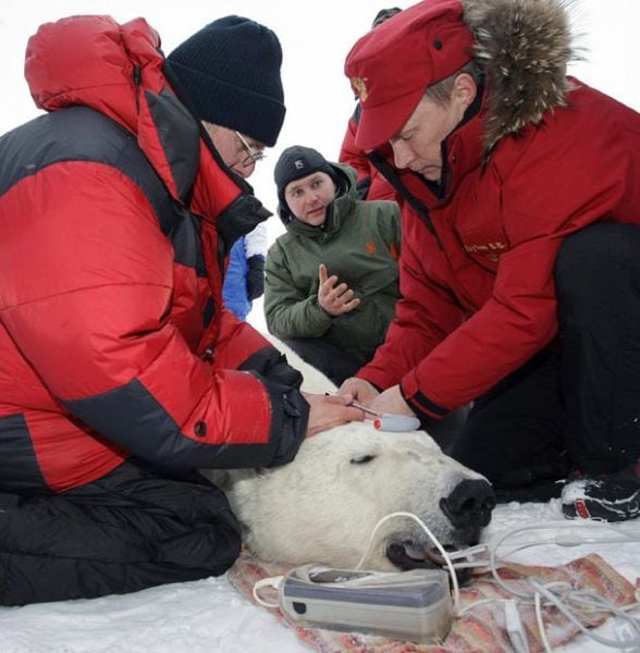 Daily picdump (127 pics)