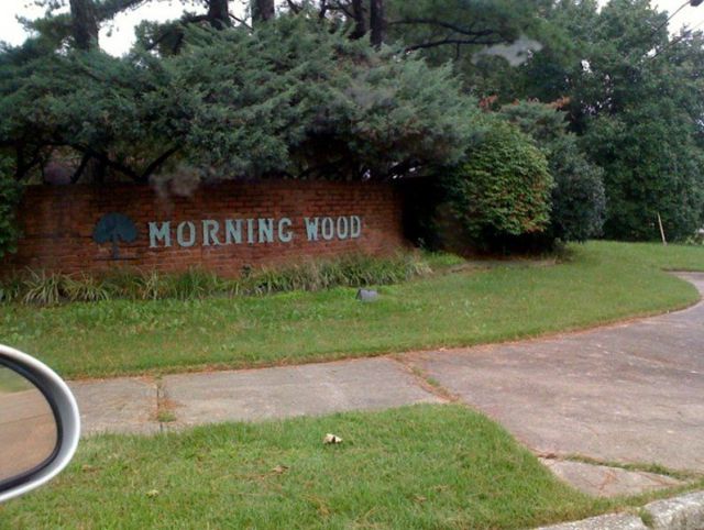 Daily picdump (127 pics)