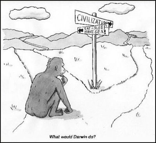 Daily picdump (127 pics)