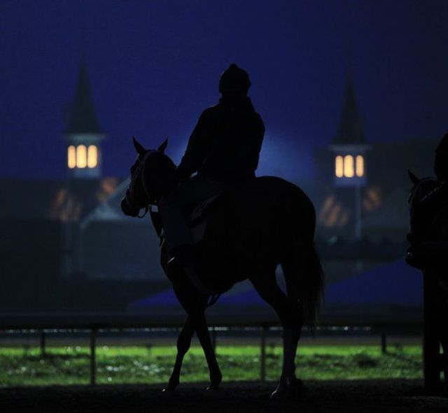 Daily picdump (127 pics)