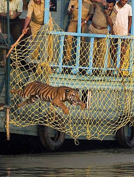 Daily picdump (127 pics)