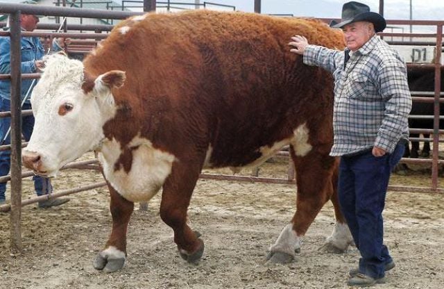 Daily picdump (127 pics)