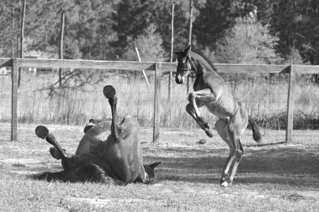 Daily picdump (127 pics)