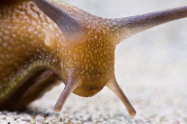 Daily picdump (127 pics)