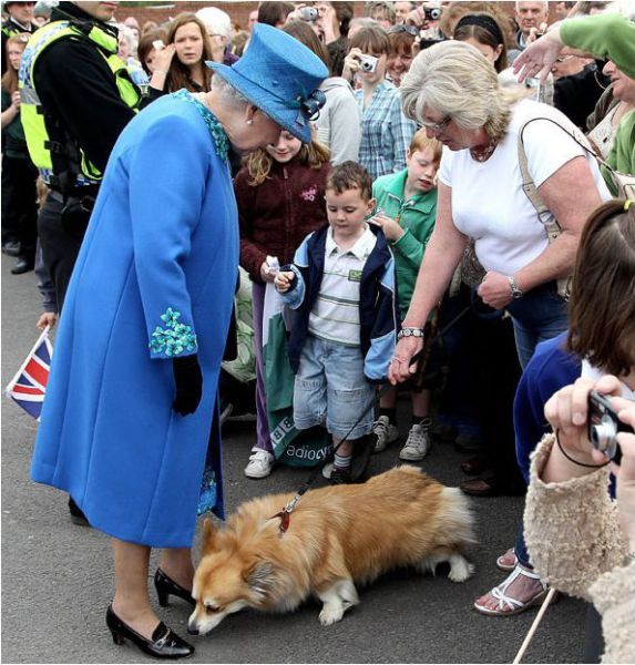 Daily picdump (127 pics)