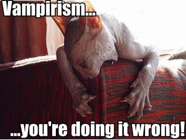 Daily picdump (133 pics)