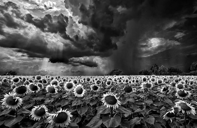 Daily picdump (133 pics)