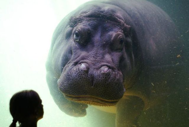 Daily picdump (133 pics)