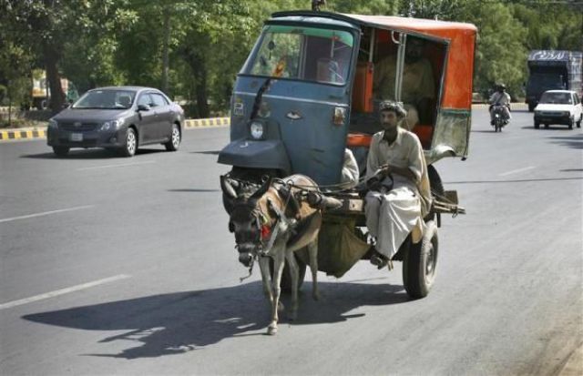 Daily picdump (133 pics)