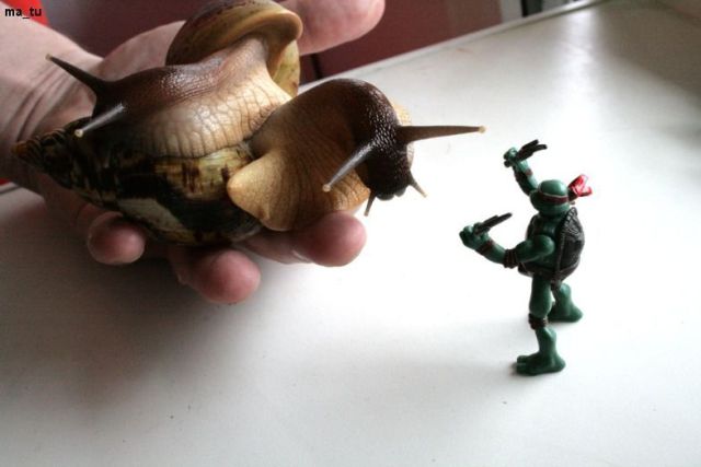 Daily picdump (133 pics)