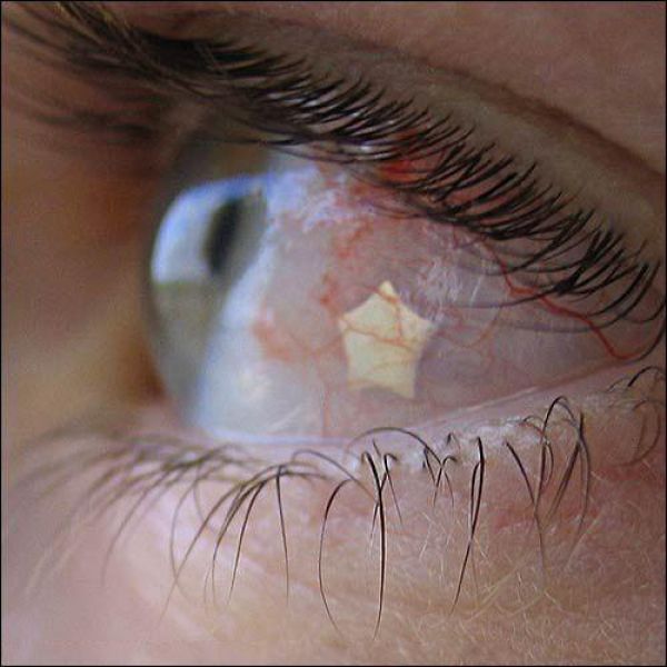 Daily picdump (133 pics)