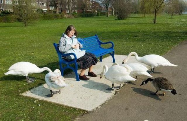 Daily picdump (133 pics)