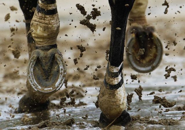 Daily picdump (133 pics)