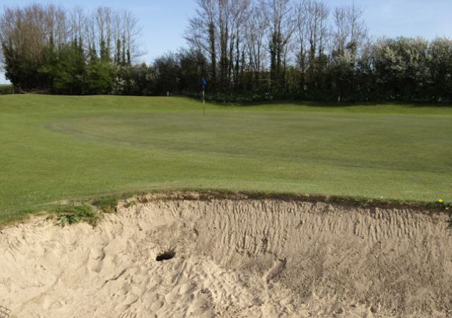 Daily picdump (133 pics)