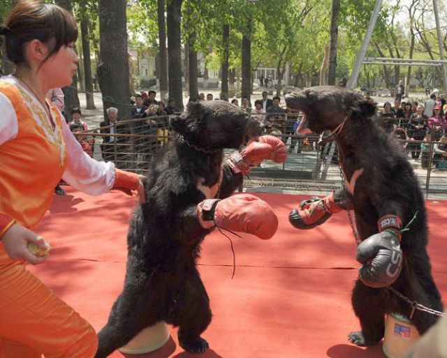 Daily picdump (133 pics)