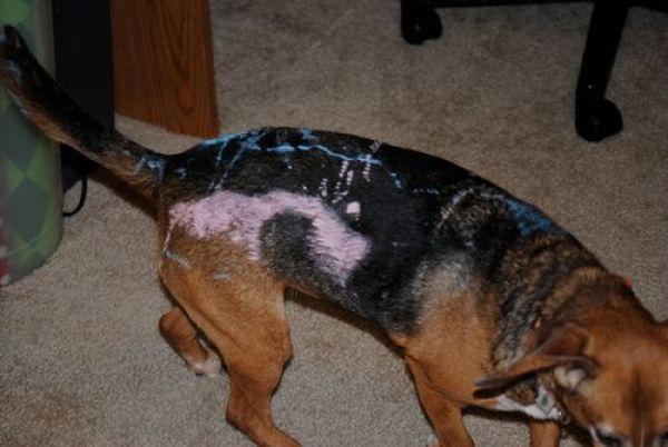 When Kids Have the Last Laugh (47 pics)