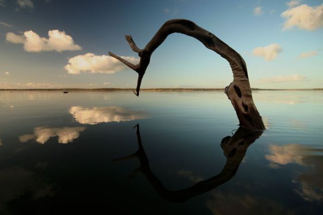 Real or Fake? Part 2 (45 pics)