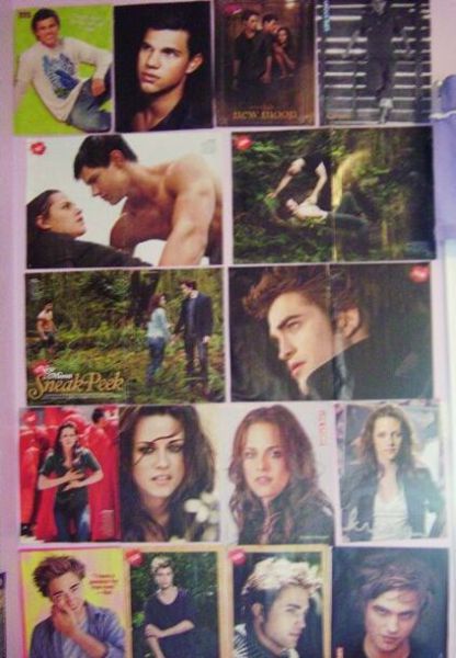 Twilight Fans with Creepy Twilight-Themed Bedrooms (28 pics)