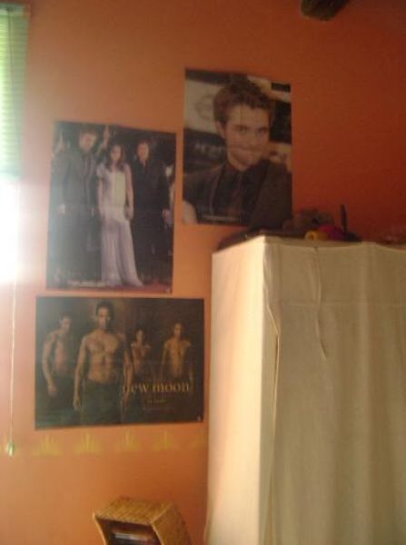 Twilight Fans with Creepy Twilight-Themed Bedrooms (28 pics)
