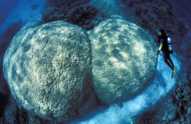 Daily picdump (152 pics)