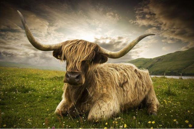 Daily picdump (152 pics)