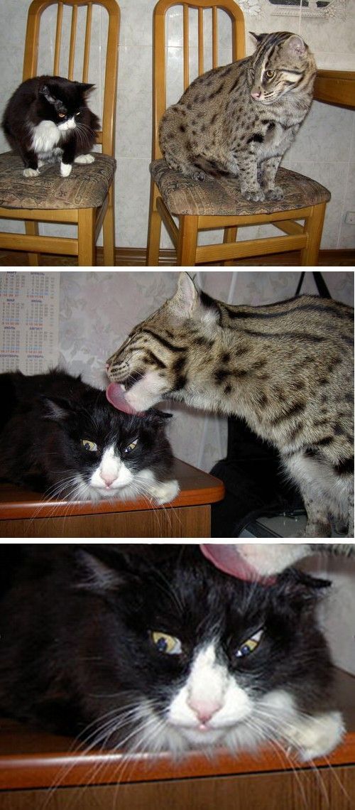 Daily picdump (152 pics)