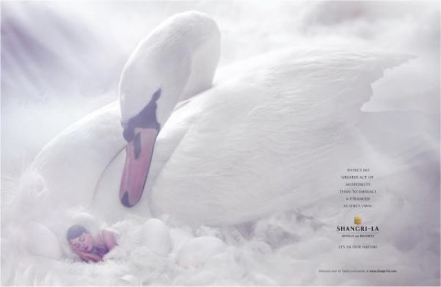 Great Creative Ad Prints (107 pics)