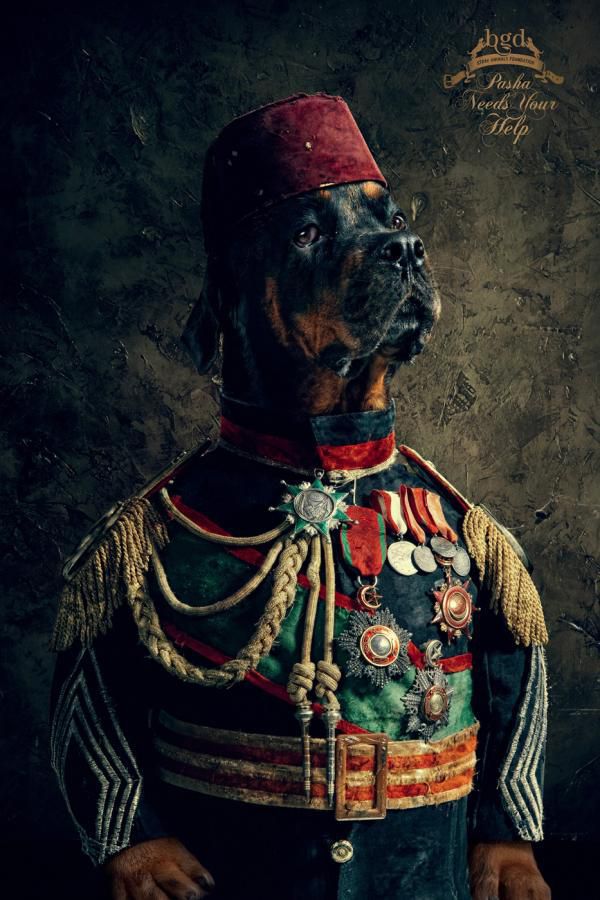 Great Creative Ad Prints (107 pics)