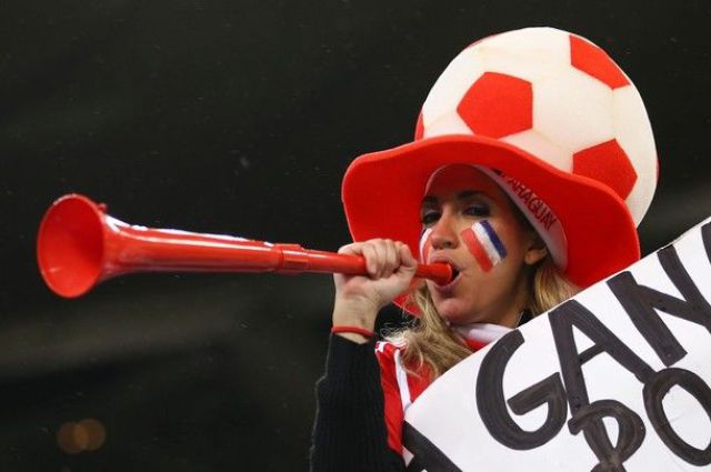 Female World Cup Fans (74 pics)