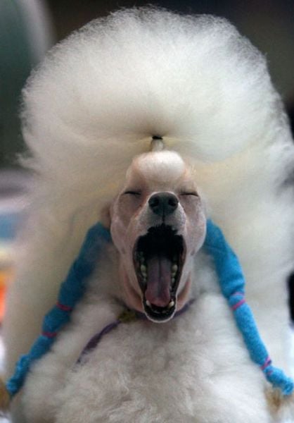 Daily picdump (128 pics)