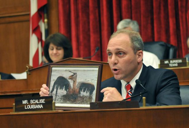 Daily picdump (128 pics)