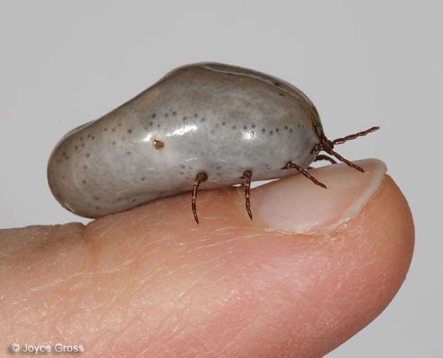 Daily picdump (128 pics)