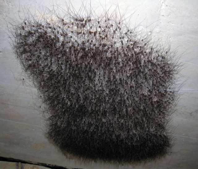 Daily picdump (128 pics)