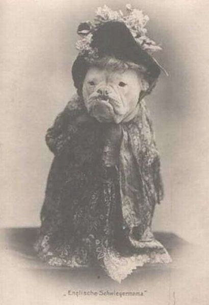 Daily picdump (128 pics)