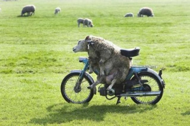 Daily picdump (128 pics)