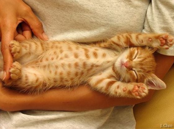 Daily picdump (128 pics)