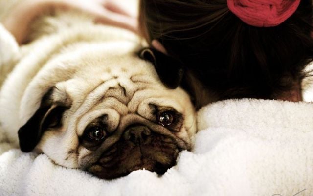 Daily picdump (128 pics)