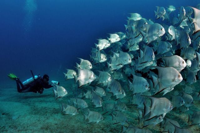 Daily picdump (128 pics)