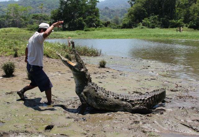 Daily picdump (128 pics)