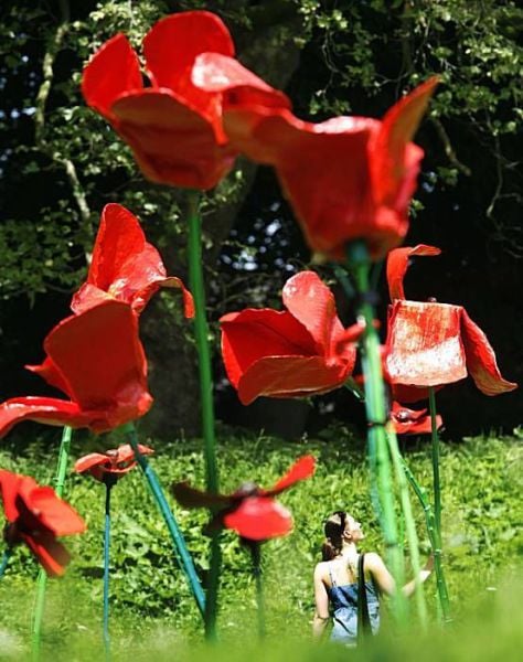 Daily picdump (128 pics)