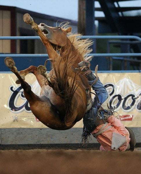 Daily picdump (128 pics)