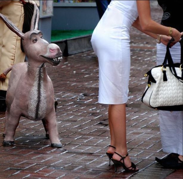 Daily picdump (128 pics)