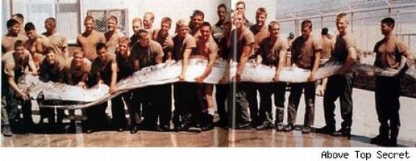 Fisherman’s Dream (31 pics) Fisherman’s Dream (31 pics)