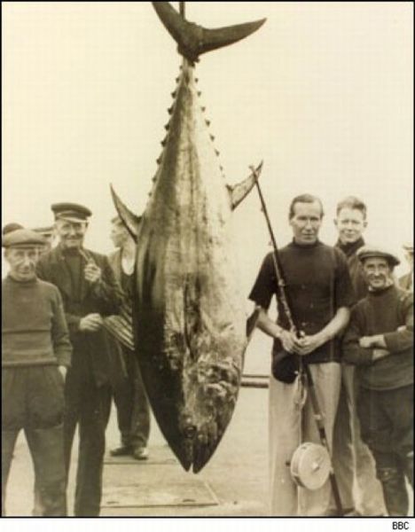 Fisherman’s Dream (31 pics) Fisherman’s Dream (31 pics)