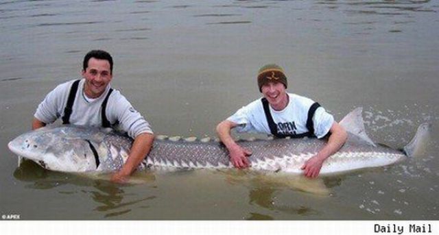 Fisherman’s Dream (31 pics) Fisherman’s Dream (31 pics)