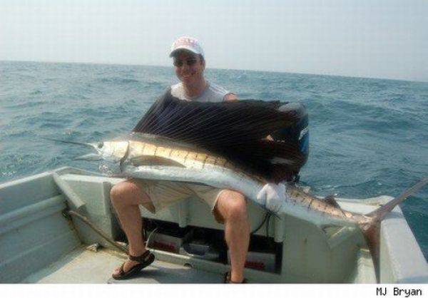 Fisherman’s Dream (31 pics) Fisherman’s Dream (31 pics)